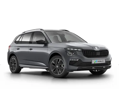 Skoda Skoda Kamiq Tour im Auto Abo von ViveLaCar