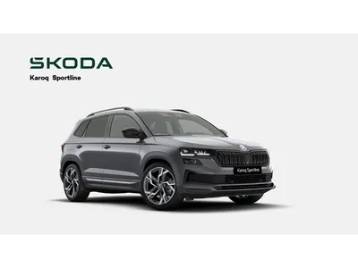 Skoda Skoda Karoq Sportline 4x4 2.0 TFSI AHK Navi 19 Zoll AC im Auto Abo von Mobile.de