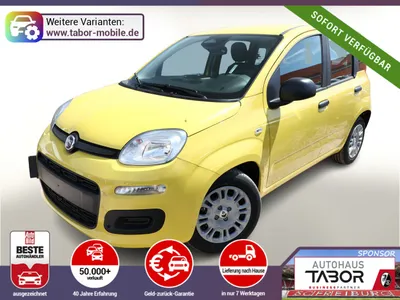 Fiat Fiat Panda ICON 5S PDC 5"-DAB DigC Temp LaneA S&S BT im Leasing von 9drive