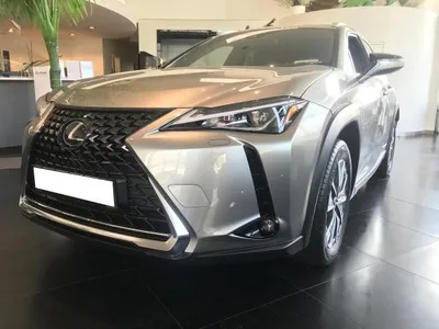 Lexus Lexus UX 300e Executive Paket im Auto Abo von LeasingMarkt.de