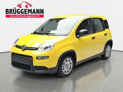 Fiat Fiat Panda 1.0 GSE HYBRID CITY PAKET, DAB im Auto Abo von LeasingMarkt.de