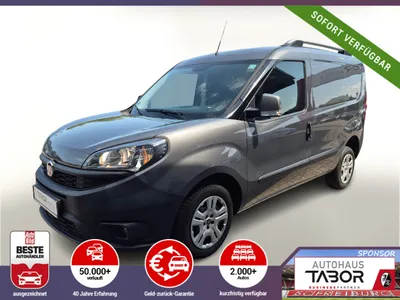 Fiat Fiat Doblo Cargo 1.6 Multijet SX PDC Tempomat im Leasing von 9drive