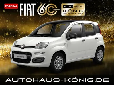Fiat Fiat Panda Citypaket | ***Mit Einparkhilfe❗️*** | 2 Jahre Garantie im Leasing von LeasingMarkt.de