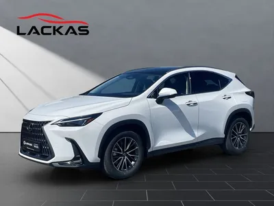 Lexus Lexus NX 450h + Executive Line NX 450h+ Executive Line im Leasing von Null-Leasing