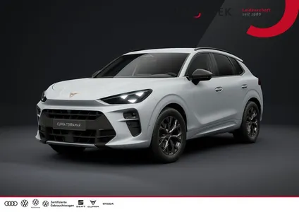 Cupra Cupra Terramar 1.5 eTSI DSG Matrix AHK Navi Edge Busin im Leasing von Null-Leasing