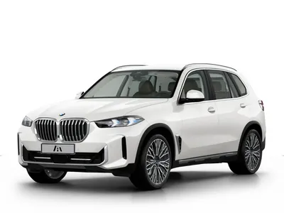 BMW BMW X5 xDrive 40i im Auto Abo von ViveLaCar
