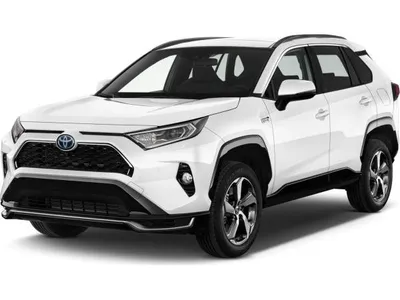 Toyota Toyota RAV 4 Hybrid Team D  Gewerbe inkl. GAP  *Navi,Kamera,Sitzheizung* im Auto Abo von LeasingMarkt.de