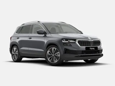 Skoda Skoda Karoq 2.0 TDI DSG Selection *VORLAUF*VERSCHIEDENE FARBEN* im Auto Abo von LeasingMarkt.de