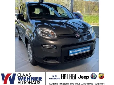 Fiat Fiat Panda Mild Hybrid *SOFORT VERFÜGBAR* Klima im Auto Abo von LeasingTime