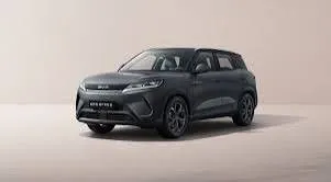 BYD BYD ATTO 2 EV Comfort im Leasing von Null-Leasing