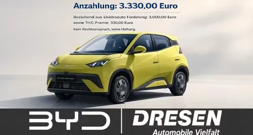 BYD BYD BYD Dolphin Surf Comfort I 360 Kamera I Sitzheizung I Navi I LED im Auto Abo von 9Drive