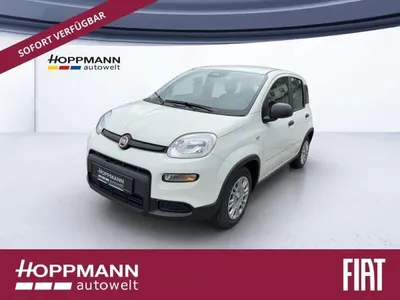 Fiat Fiat Panda PANDINA 1.0 GSE *CITY-PAKET* im Auto Abo von LeasingMarkt.de