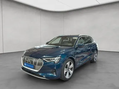 Audi Audi e-tron 55 quattro advanced Panorama im Leasing von LeasingMarkt.de