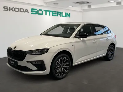 Skoda Skoda Scala 1.0 TSI 85kW DSG Tour im Leasing von Null-Leasing