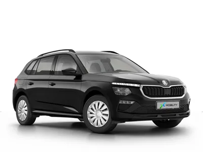 Skoda Skoda Kamiq Essence im Auto Abo von ViveLaCar