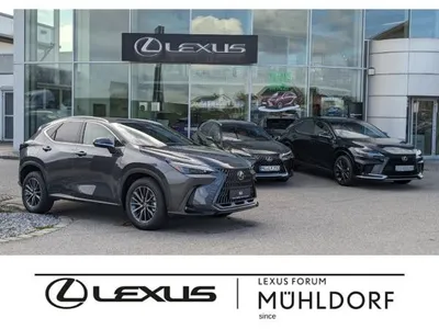 Lexus Lexus NX 450h+ Executive Line | Interieur / Technologie Paket | Panorama-Glasdach im Auto Abo von LeasingTime