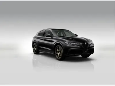 Alfa Romeo Alfa Romeo Stelvio Intensa | VOLLAUSSTATTUNG | VORLAUF | Gewerbe im Auto Abo von LeasingTime