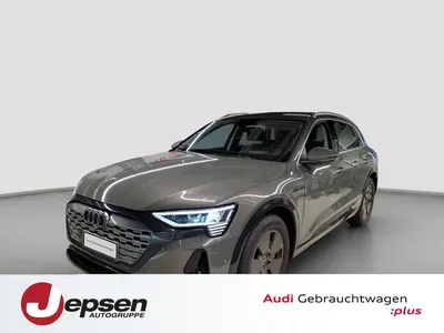 Audi Audi Q8 e-tron advanced 50 qu. PANO HUD AHK Matrix 19 im Auto Abo von Mobile.de