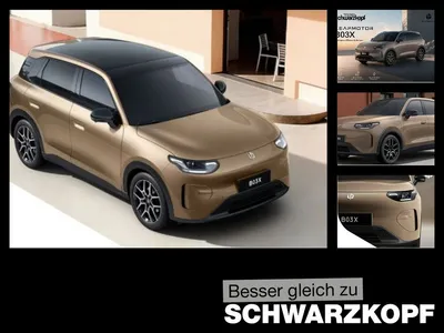 Leapmotor Leapmotor B03X im Leasing von Null-Leasing