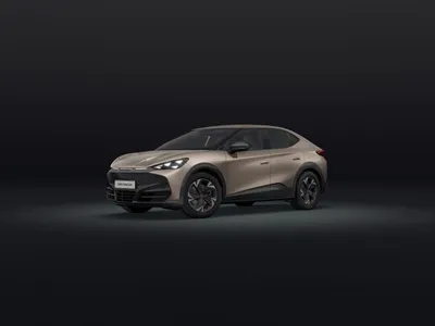 Cupra Cupra Tavascan [Loyalitätsprämie] Endurance 140 kW (190 PS) 58 kWh im Leasing von 9drive