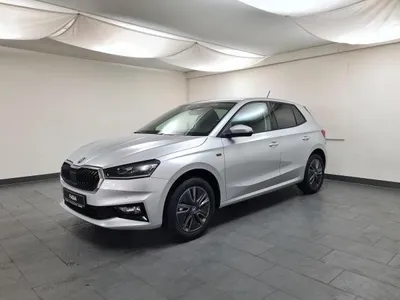 Skoda Skoda Fabia Drive TSI DSG Infotainment Assist Winter im Auto Abo von LeasingTime