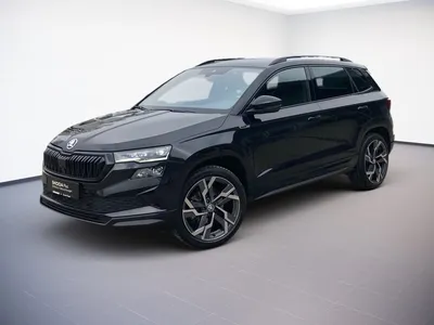 Skoda Skoda Karoq 2.0TDI DSG 4x4 19 ALU.EL.KLAPPE.FAHRASS.AHK.NAVI im Auto Abo von Faaren