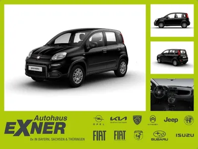 Fiat Fiat Panda AB NOVEMBER VERFÜGBAR | Privat im Auto Abo von LeasingTime