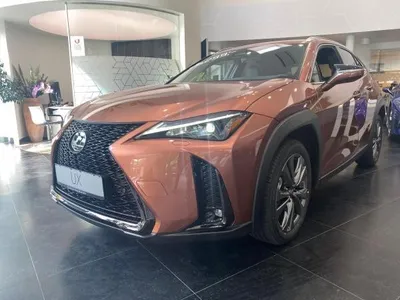 Lexus Lexus UX-300h 💥F Sport Design💥 im Auto Abo von LeasingMarkt.de