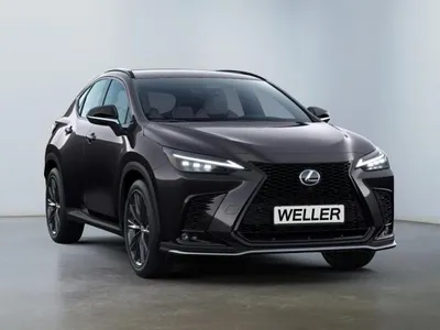 Lexus Lexus NX 450h+ Advantage inkl. Head up & Panoramaschiebedach im Leasing von LeasingMarkt.de