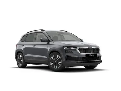 Skoda Skoda Karoq BALANCE 2,0 TDI DSG - FESTPREIS - VIELE EXTRAS im Leasing von LeasingMarkt.de