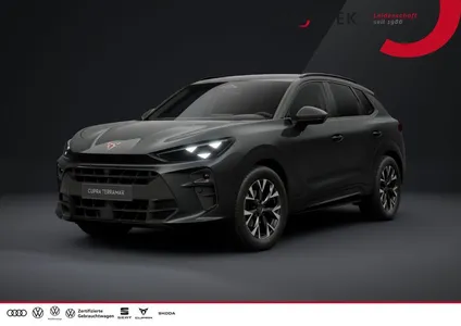 Cupra Cupra Terramar Matrix Sitzh Ambiente HeadUp Edge Paket im Leasing von Null-Leasing