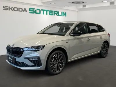 Skoda Skoda Scala 1.0 TSI 85kW DSG Tour im Leasing von Null-Leasing
