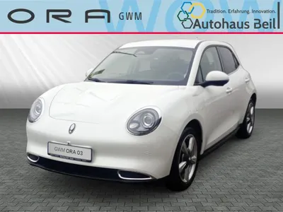GWM GWM ORA 03 Ora 03 300 Pro im Leasing von LeasingMarkt.de