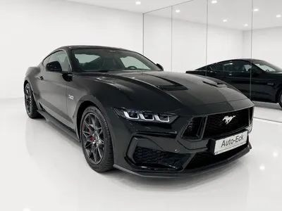 Ford Ford Mustang Coupe GT Fastback *Navi*MagneRide* im Leasing von Null-Leasing