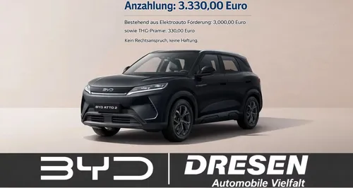 BYD BYD BYD Atto 2 Active I Panorama I Leder I Rückfahrkamera I LED I Spurhalteassistent im Auto Abo von 9Drive