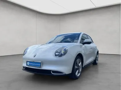 GWM GWM ORA 03 300 Pro , 5-türig (Strom) im Auto Abo von LeasingMarkt.de