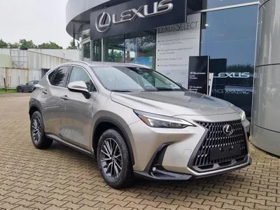Lexus Lexus NX 350h Hybrid 4x2 Business Line **Bis zu 15 Jahre Garantie!** im Auto Abo von LeasingMarkt.de