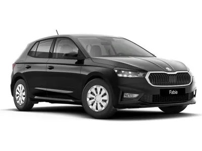 Skoda Skoda Fabia Selection 1.0 MPI 🔥SOFORT VERFÜGBAR🔥GEWERBE im Auto Abo von LeasingMarkt.de