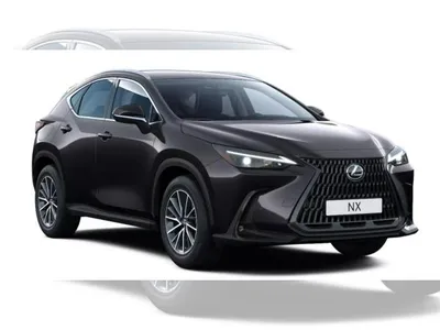 Lexus Lexus NX 450h+ 450h+ E-FOUR Business im Leasing von LeasingMarkt.de