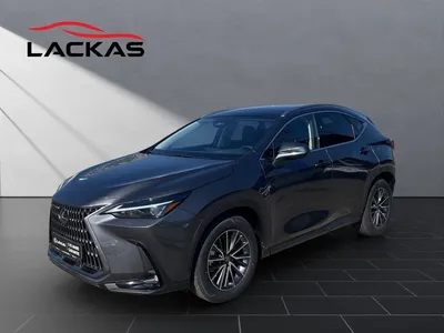 Lexus Lexus NX 450h + Executive Line im Leasing von Null-Leasing