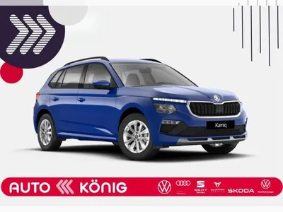 Skoda Skoda Kamiq 🛠️🚀Gewerbehammer🚀 🛠️ im Auto Abo von LeasingMarkt.de