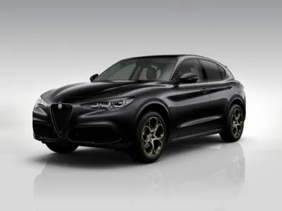 Alfa Romeo Alfa Romeo Stelvio Intensa Q4 2.0 Turbo 16V 280PS AT8 Panorama im Auto Abo von LeasingMarkt.de