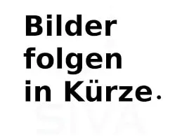 VW VW ID.Buzz Bus 77kWh Pro im Auto Abo von CARIFY