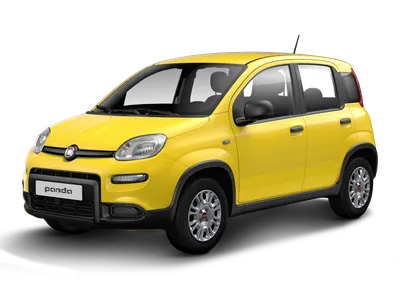 Fiat Fiat Panda | reduzierte Überführungskosten | Christmas-Deal 🎄 im Auto Abo von 9Drive