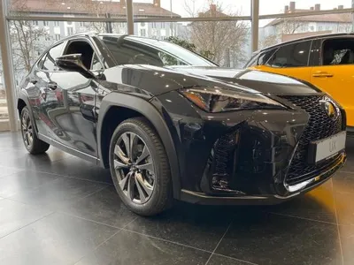Lexus Lexus UX-300h ❤️💥F Sport Design❤️💥 im Auto Abo von LeasingMarkt.de