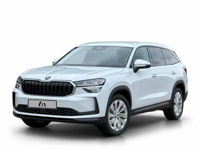 Skoda Skoda Kodiaq 2.0 TDI Selection im Auto Abo von ViveLaCar