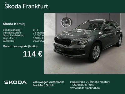 Skoda Skoda Kamiq Selection 1,0 TSI AHK/ Winter/ Komfort im Leasing von Null-Leasing