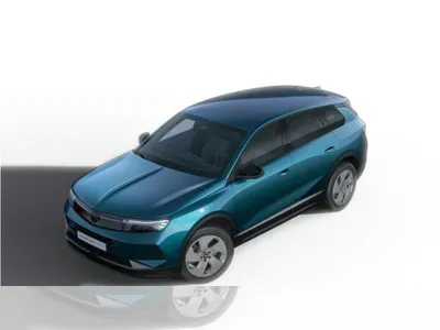 Opel Opel Grandland Electric | Gewerbekracher im Leasing von LeasingMarkt.de