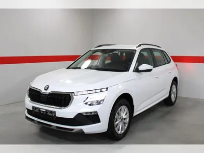 Skoda Skoda Kamiq | SONDERAKTION | nur Gewerbelasing -14276 im Leasing von LeasingMarkt.de