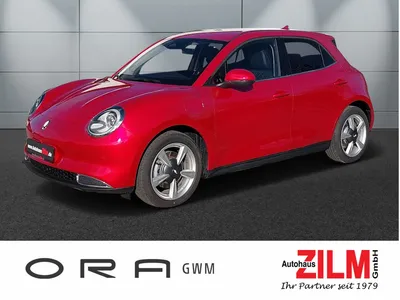 GWM GWM ORA 03 300 PRO *LED*HZ*HZ* im Auto Abo von Mobile.de